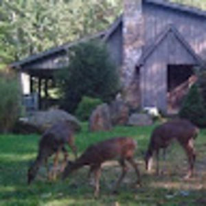 Meet your Posher, Richard